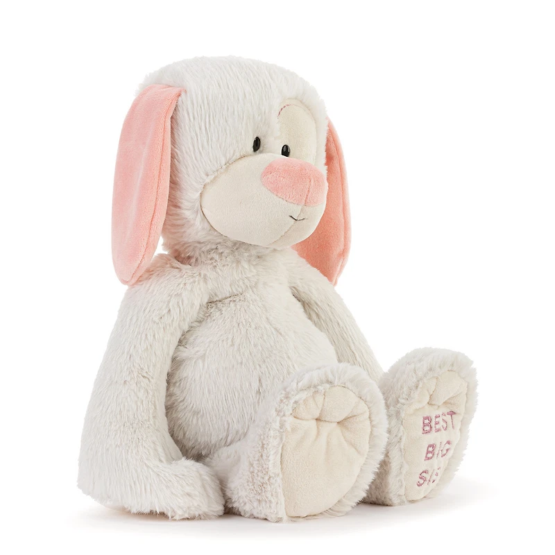 Demdaco Best Big Sister Dog Stuffed Animal, 16" for only USD 32.99 | Hallmark