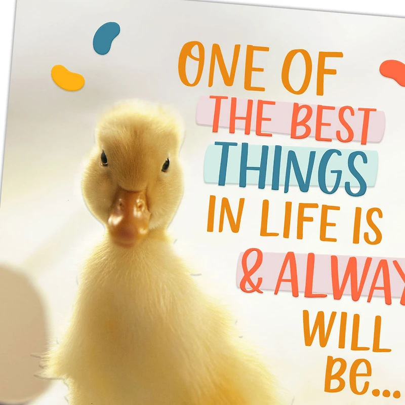 Best Things in Life Easter Card for Grandson for only USD 2.99 | Hallmark