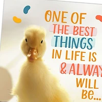 Best Things in Life Easter Card for Grandson for only USD 2.99 | Hallmark