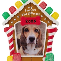 My Fur-st Christmas 2025 Photo Frame Hallmark Ornament for only USD 14.99 | Hallmark