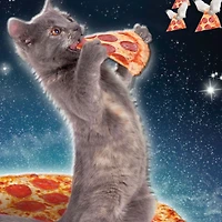 Galactic Cat With Pizza Funny Birthday Card for only USD 4.49 | Hallmark