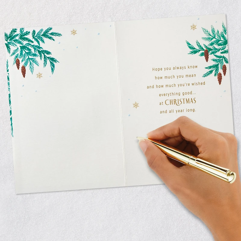 So Grateful for You Christmas Card for Brother-in-Law for only USD 4.59 | Hallmark