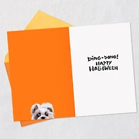 Dog and Doorbell Frenzy Funny Halloween Card for only USD 3.69 | Hallmark