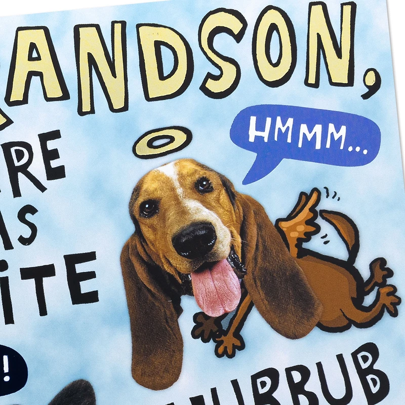 Handsome and Intelligent Funny Pop-Up Birthday Card for Grandson for only USD 4.99 | Hallmark