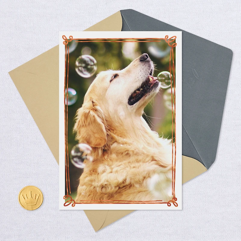 Happy Thoughts Dog With Bubbles Encouragement Card for only USD 2.99 | Hallmark