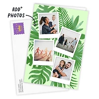 Personalized Tropical Ferns on Green Photo Card for only USD 4.99 | Hallmark