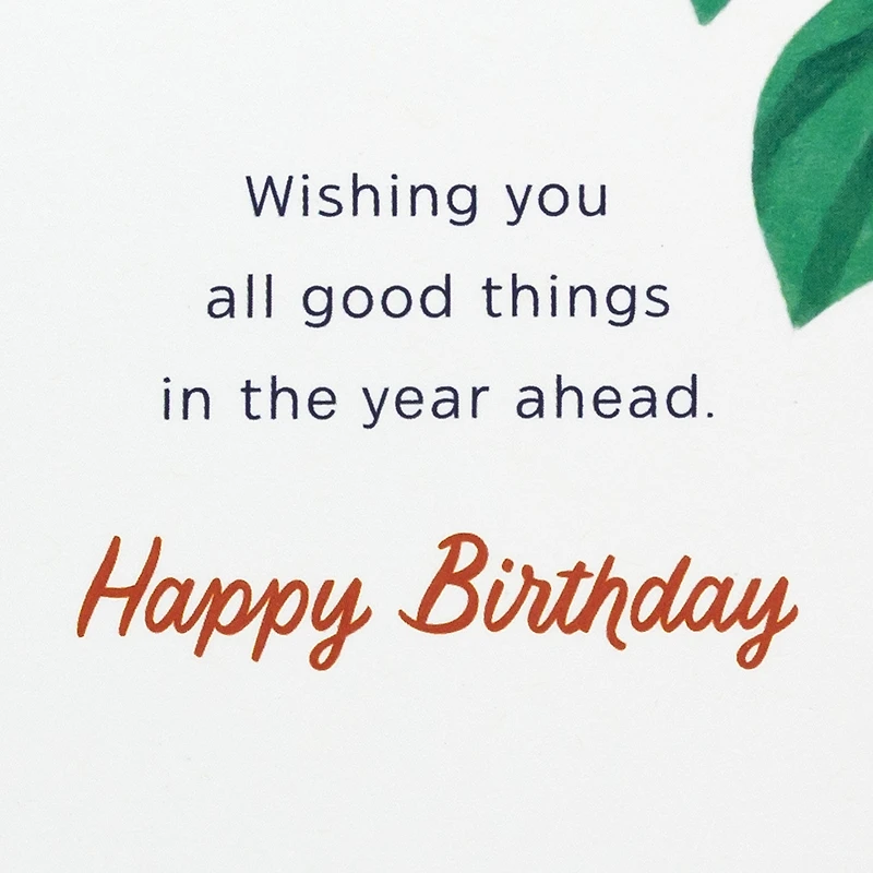 Grateful to Celebrate You Birthday Card for Relative for only USD 4.99 | Hallmark