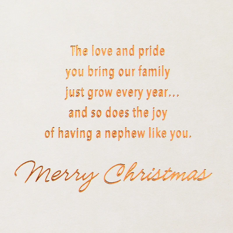 Love, Pride and Joy Christmas Card for Nephew for only USD 4.99 | Hallmark