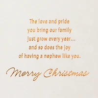 Love, Pride and Joy Christmas Card for Nephew for only USD 4.99 | Hallmark