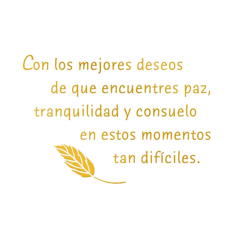 A Wish for Peace and Comfort Spanish-Language Sympathy Card for only USD 3.59 | Hallmark
