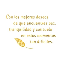A Wish for Peace and Comfort Spanish-Language Sympathy Card for only USD 3.59 | Hallmark
