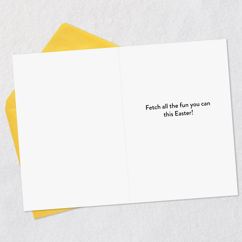Fetch All the Fun You Can Funny Easter Card for only USD 2.00 | Hallmark