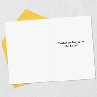 Fetch All the Fun You Can Funny Easter Card for only USD 2.00 | Hallmark
