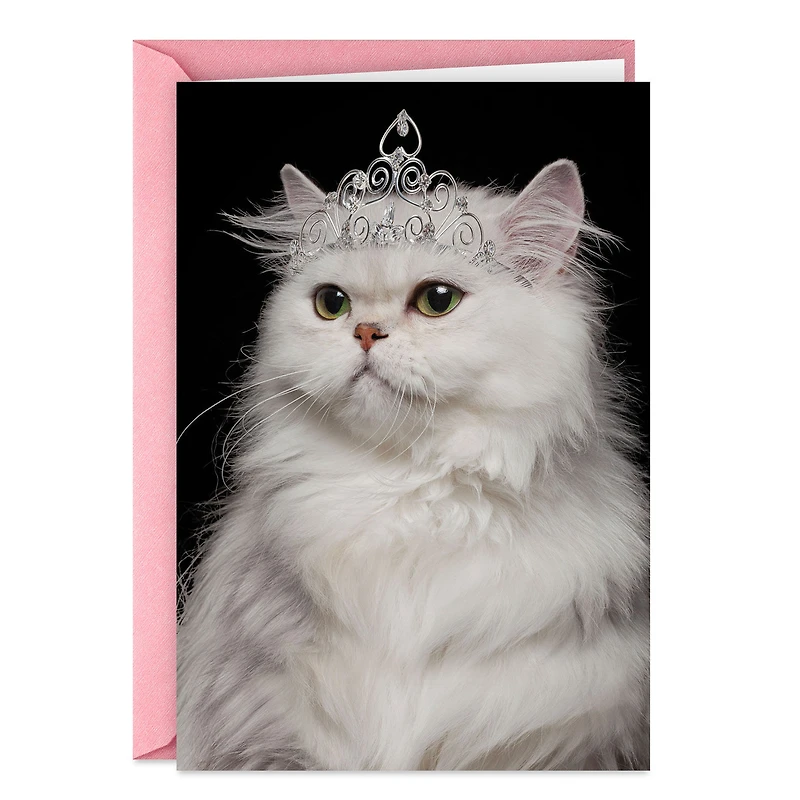 You're the Damn Queen Funny Birthday Card for only USD 3.99 | Hallmark