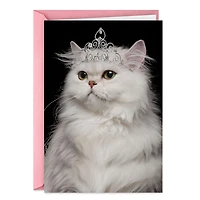 You're the Damn Queen Funny Birthday Card for only USD 3.99 | Hallmark