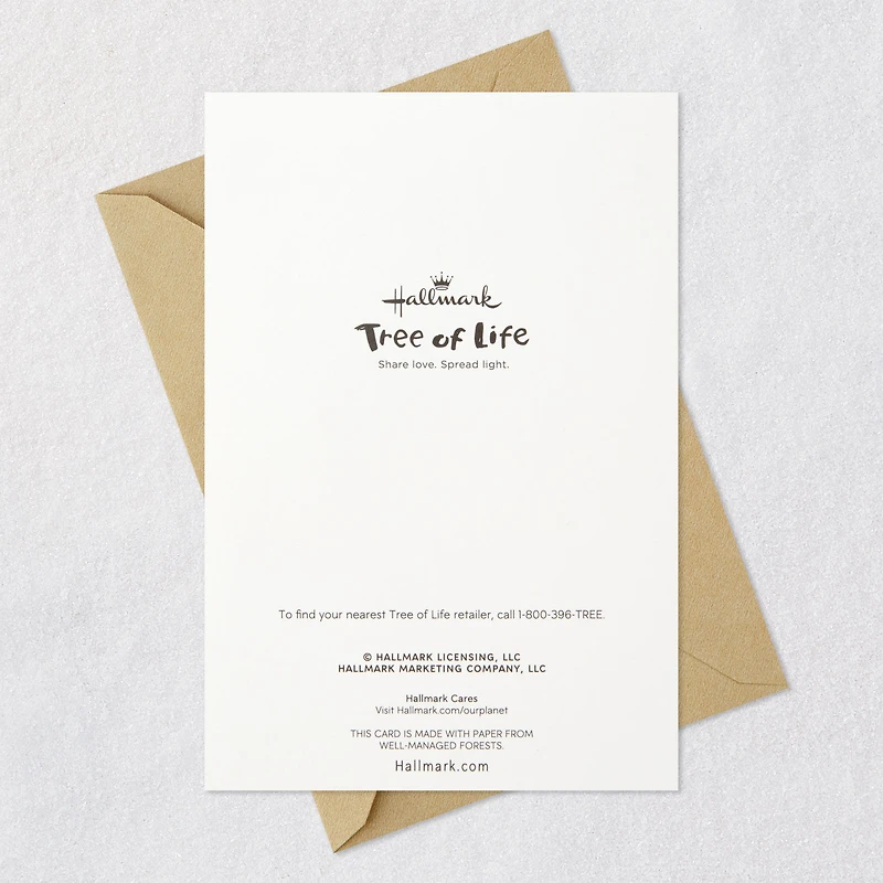 Apples and Leaves Rosh Hashanah Cards, Pack of 6 for only USD 5.99 | Hallmark