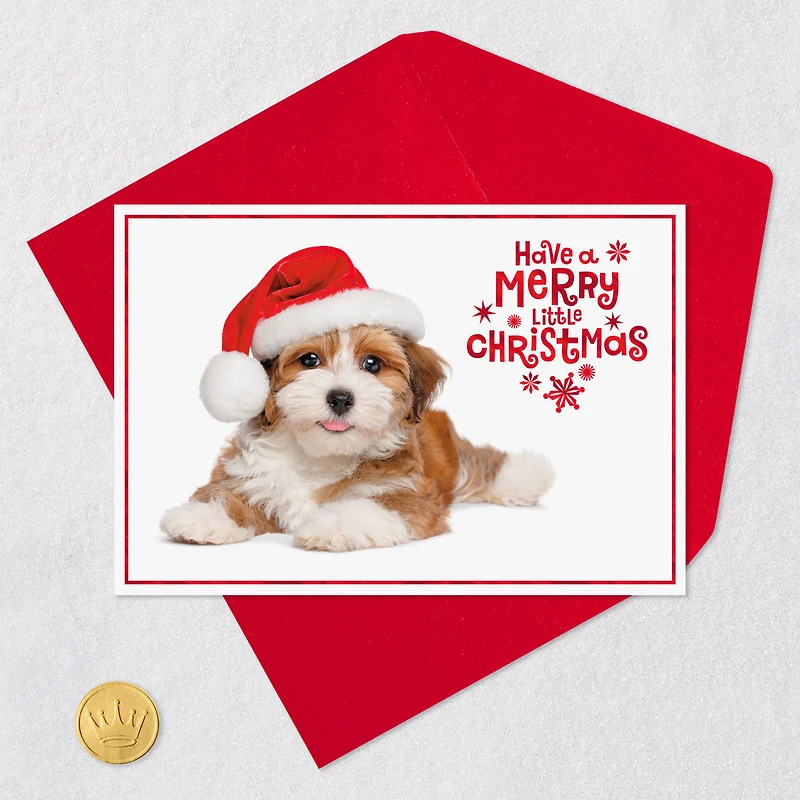 Warm Smiles Puppy Dog in Santa Hat Christmas Card for only USD 0.99 | Hallmark