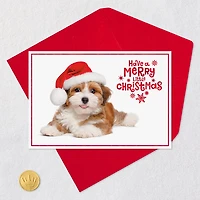 Warm Smiles Puppy Dog in Santa Hat Christmas Card for only USD 0.99 | Hallmark