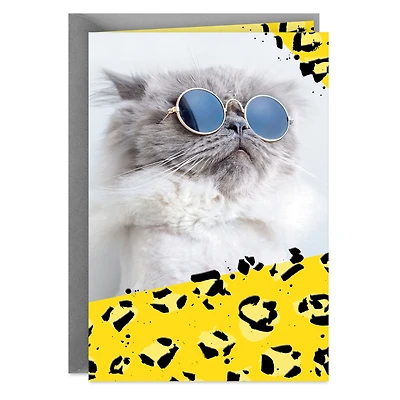 Cool Cat Wearing Sunglasses Blank Card for only USD 2.99 | Hallmark