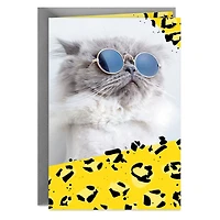 Cool Cat Wearing Sunglasses Blank Card for only USD 2.99 | Hallmark