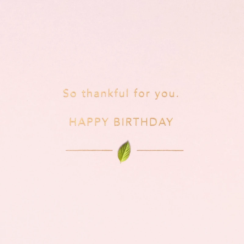 You Make Life Beautiful Birthday Card for only USD 8.59 | Hallmark