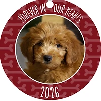 Pet Memorial Round Metal Personalized Ornament, Custom Photo and Text for only USD 17.99 | Hallmark
