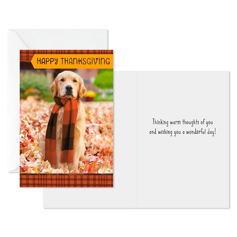 Warm Thoughts of You Thanksgiving Cards, Pack of 6 for only USD 6.99 | Hallmark