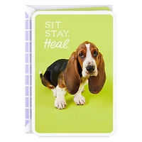 Sit, Stay, Heal Get Well Card for only USD 2.99 | Hallmark