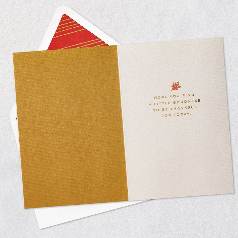 Season of Gratitude Thanksgiving Card for only USD 5.99 | Hallmark