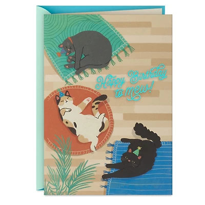 Find Your Sunny Spot Birthday Card From the Cat for only USD 2.99 | Hallmark