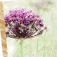 Comfort, Healing and Peace Sympathy Card for only USD 2.50 | Hallmark