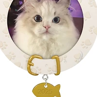 Furry Friend 2025 Personalized Ornament, Custom Photo for only USD 24.99 | Hallmark