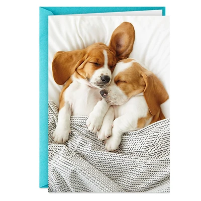 Still the Cutest Anniversary Card for Couple for only USD 3.99 | Hallmark