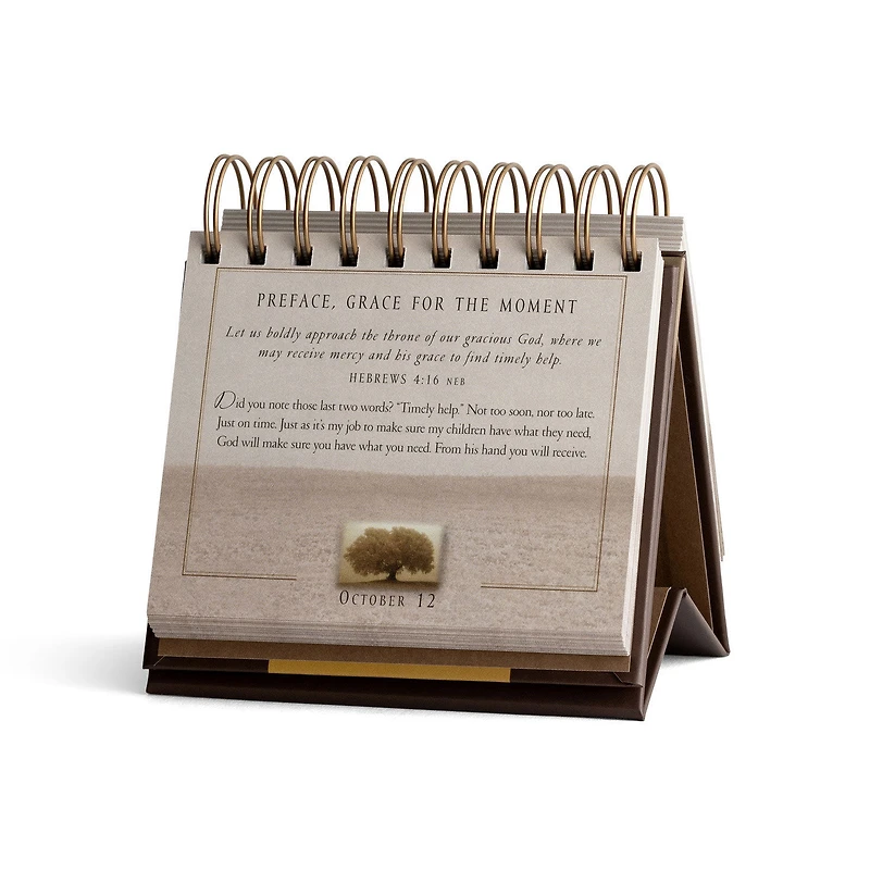 Max Lucado Grace for the Moment 365-Day Perpetual Calendar for only USD 11.99 | Hallmark
