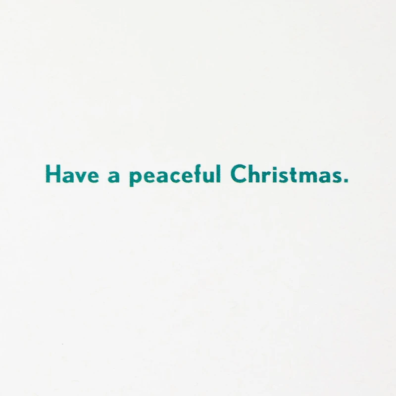 Not a Creature Was Stirring Funny Christmas Card for only USD 3.99 | Hallmark