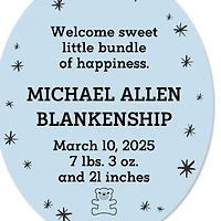 Vertical Oval Metal Personalized Ornament, Custom Text for only USD 17.99 | Hallmark