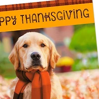 Warm Thoughts of You Thanksgiving Cards, Pack of 6 for only USD 6.99 | Hallmark