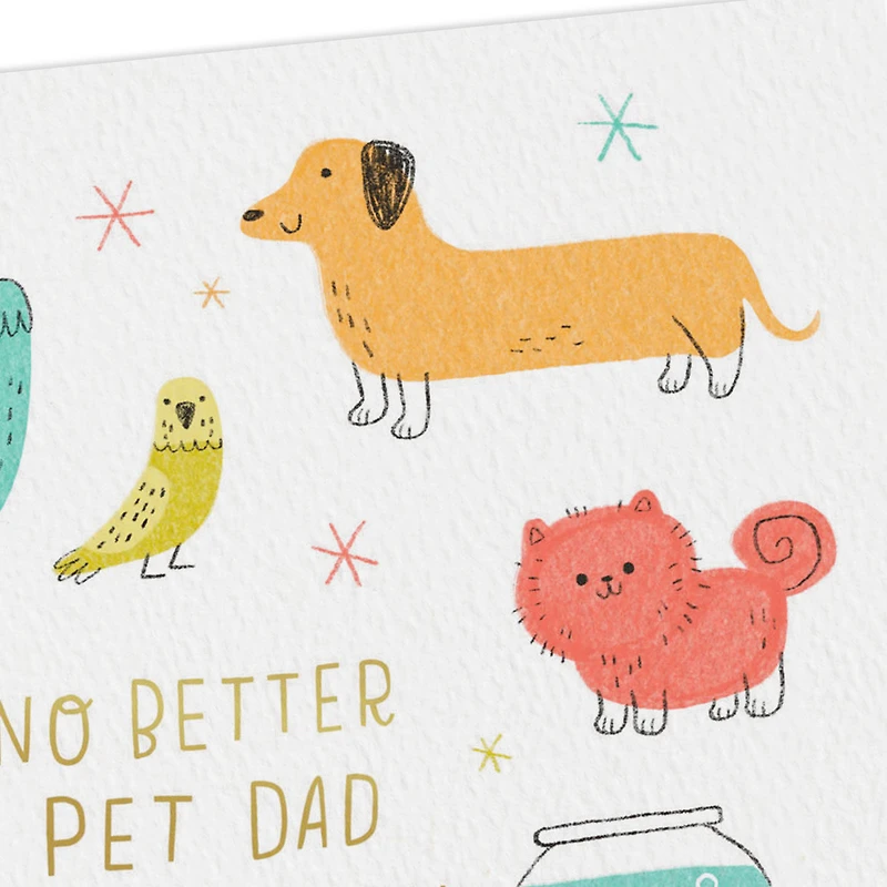 No Better Pet Dad than You Father's Day Card for only USD 3.99 | Hallmark