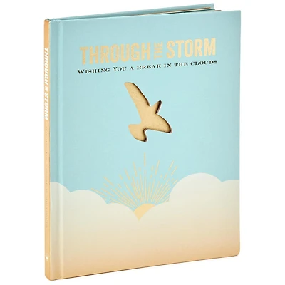 Through the Storm: Wishing You a Break in the Clouds Book for only USD 16.99 | Hallmark
