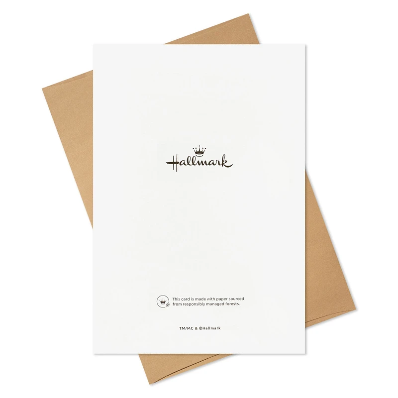 Pine Boughs on Pale Green Boxed Christmas Cards, Pack of 16 for only USD 17.49 | Hallmark