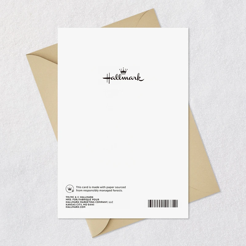 You Deserve Everything You Wish For Birthday Card for Brother From Sister for only USD 6.99 | Hallmark