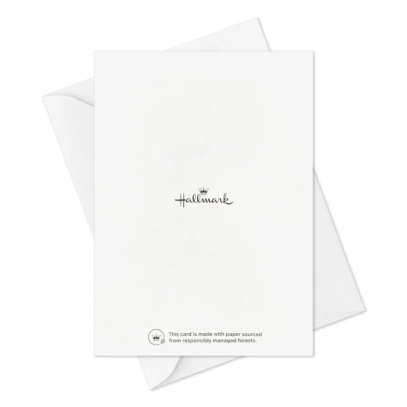 Soft Pastel Modern Wishes Booklet of Cards, Pack of 12 for only USD 14.99 | Hallmark