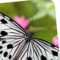 Black-and-White Butterfly and Pink Flowers Blank Card for only USD 2.99 | Hallmark