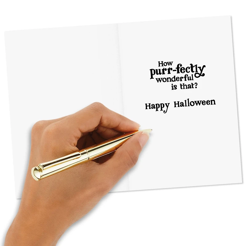 Purr-fectly Wonderful Black Cat Halloween Cards, Pack of 6 for only USD 5.99 | Hallmark