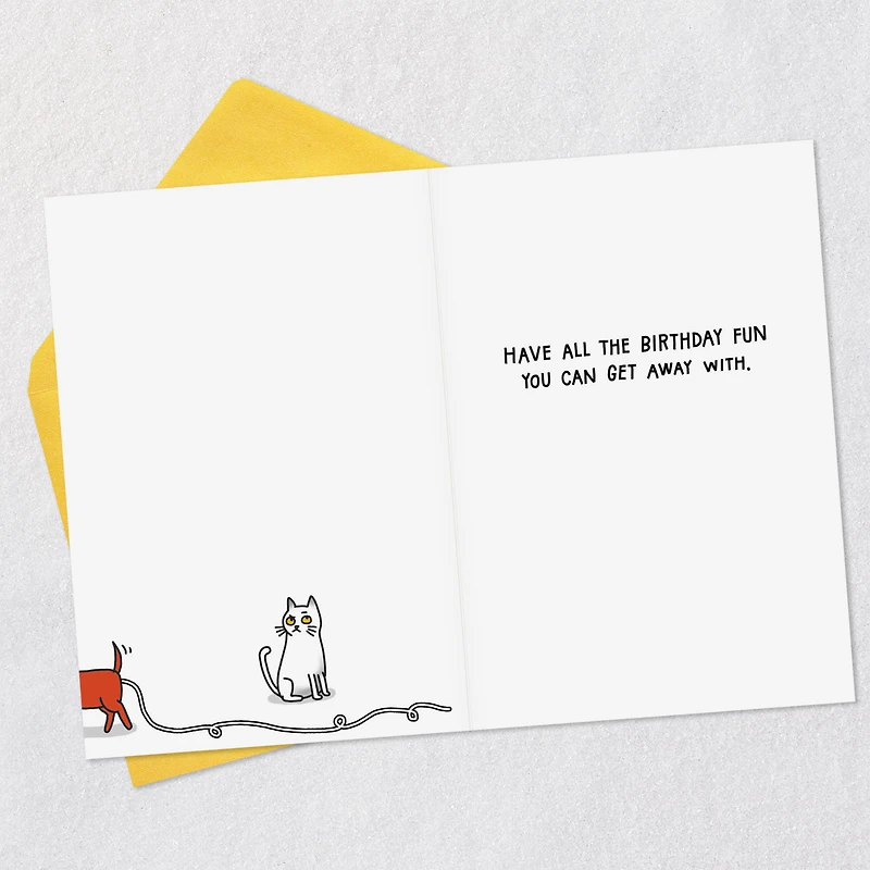 All the Fun You Can Get Away With Funny Birthday Card for only USD 3.99 | Hallmark