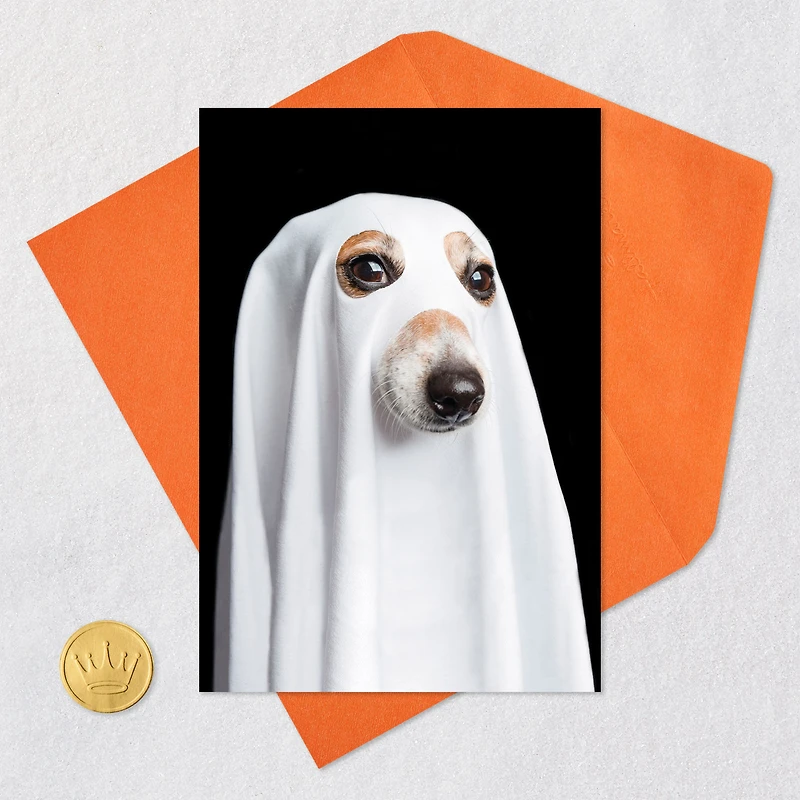 Things That Go Bark in the Night Funny Halloween Card for only USD 2.00 | Hallmark