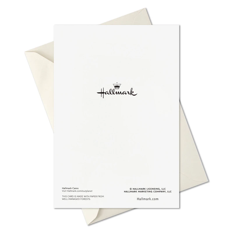 Christmas Keeps Us Believing Boxed Christmas Cards, Pack of 16 for only USD 12.49 | Hallmark