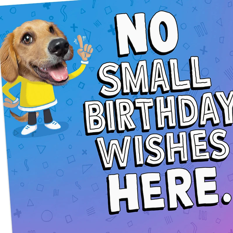 Silly Dog Funny Pop-Up Birthday Card for only USD 4.59 | Hallmark