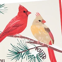 Cardinals in Snow Blank Thank-You Cards, Pack of 20 for only USD 10.99 | Hallmark