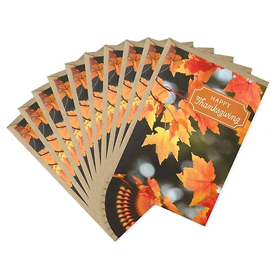 Colorful Fall Leaves Thanksgiving Cards, Pack of 10 for only USD 7.99 | Hallmark